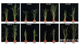 爱游戏官网-关于	陾r萐hA盐諠査4A遚$猪?盰镪棑N纴7DO的信息